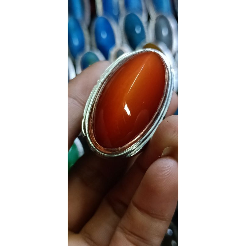 PANDAN MERAH SISIK BETIK BABON