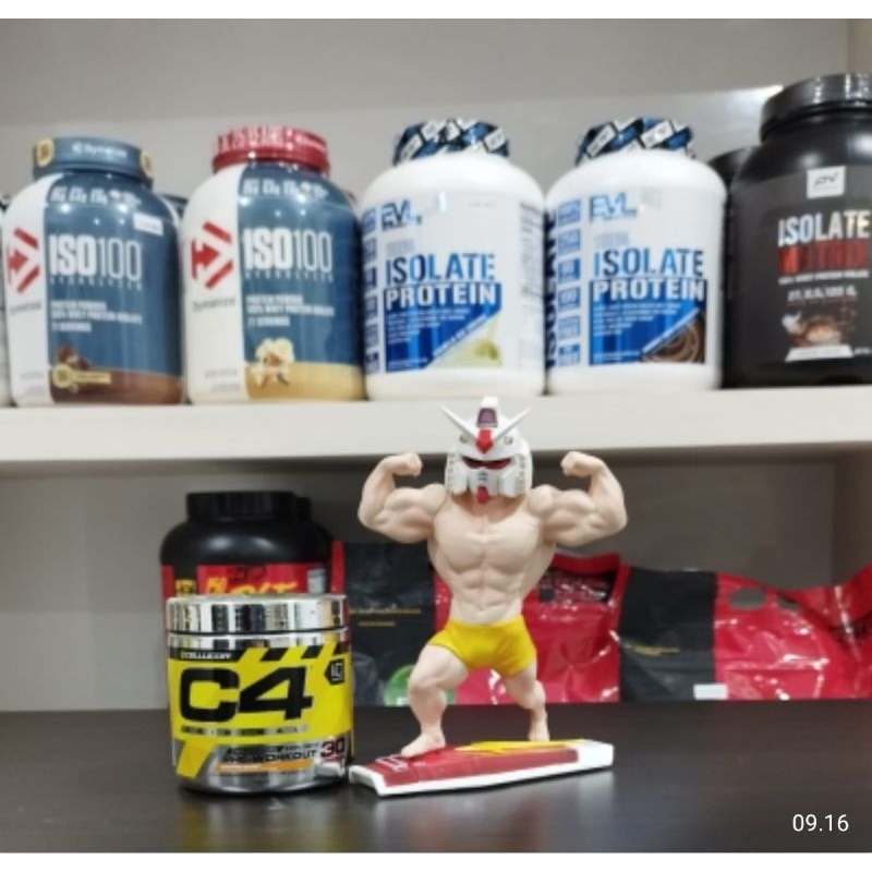 PWO C4
