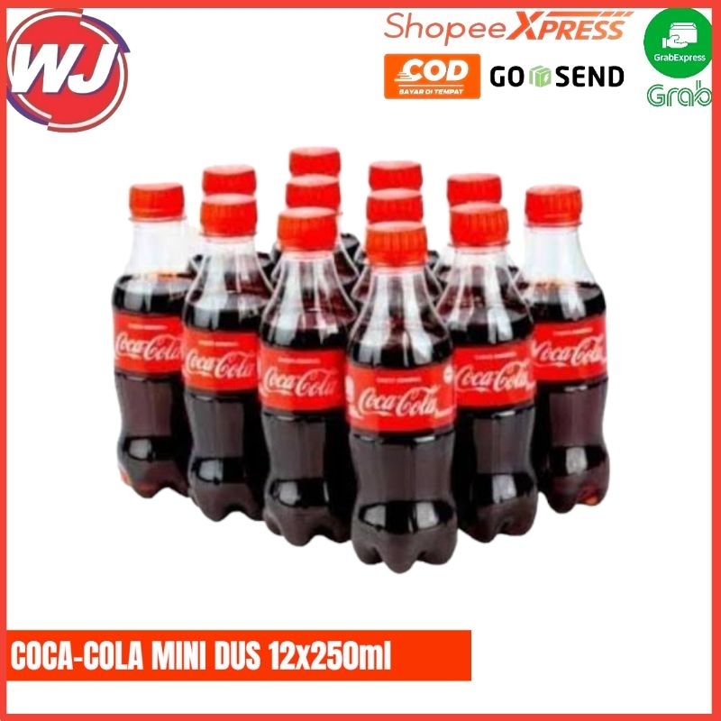 

COCA-COLA MINI DUS 12x250ml