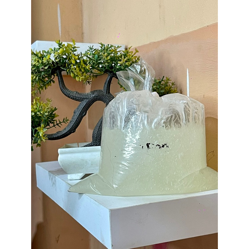 TEXAPONE 270N / 1 KG