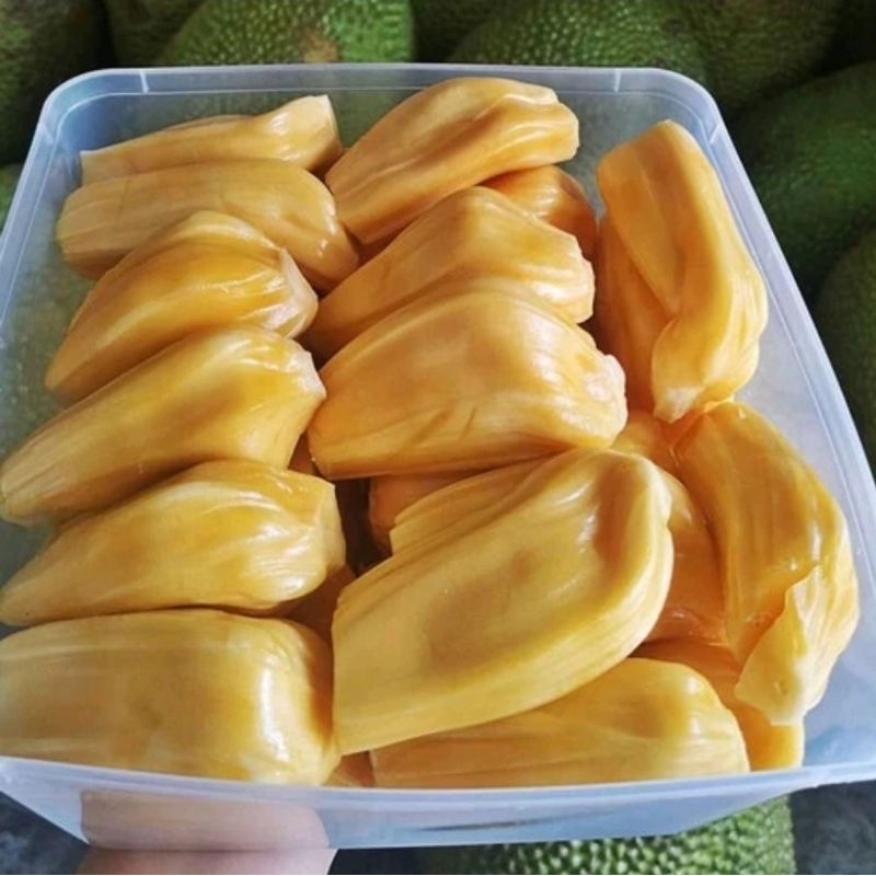 

Nangka Buah