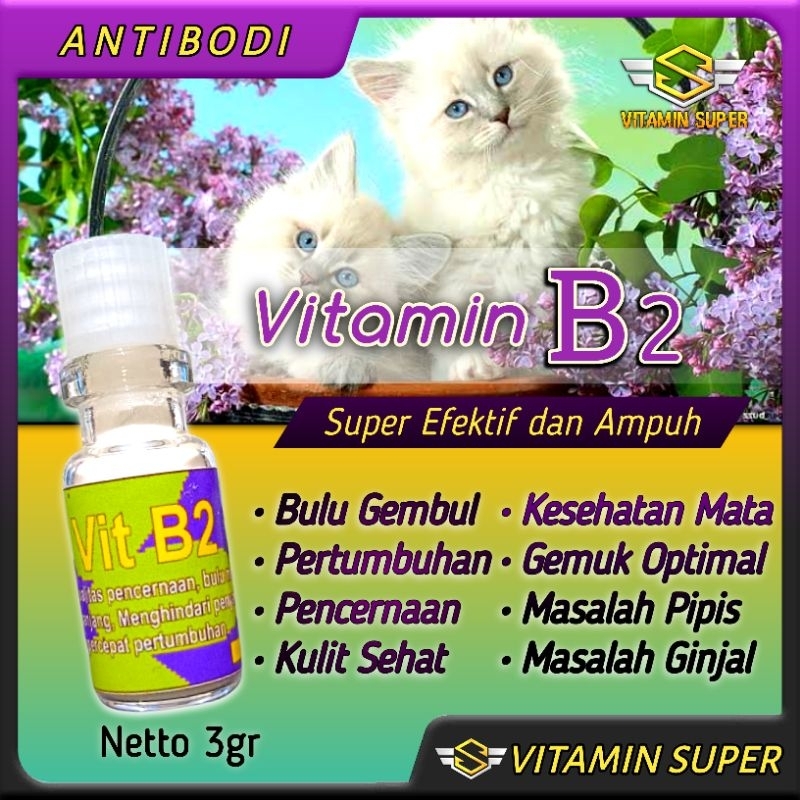 Obat Kucing Vitamin B2 | Vitamin Bulu Gembul, Gemukin, Masalah Kulit, Ginjal, Kesehatan Mata, Kesuburan, Antibodi dan Imunitas
