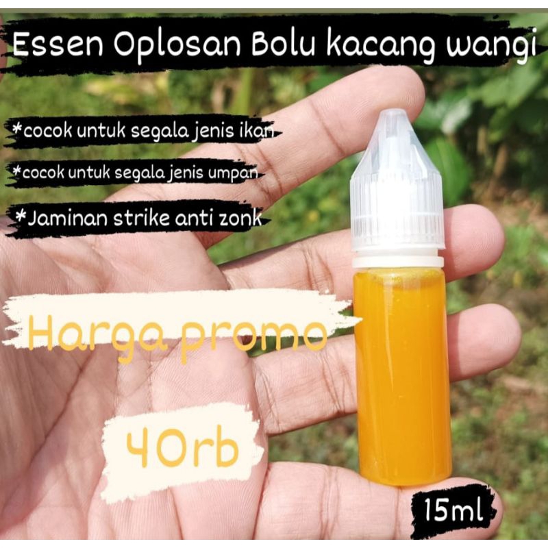 ESSEN OPLOSAN BOLU KACANG WANGI