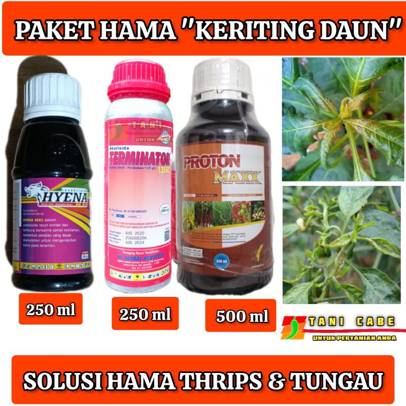 PAKET HAMA KERITING DAUN-THRIPS & TUNGAU
