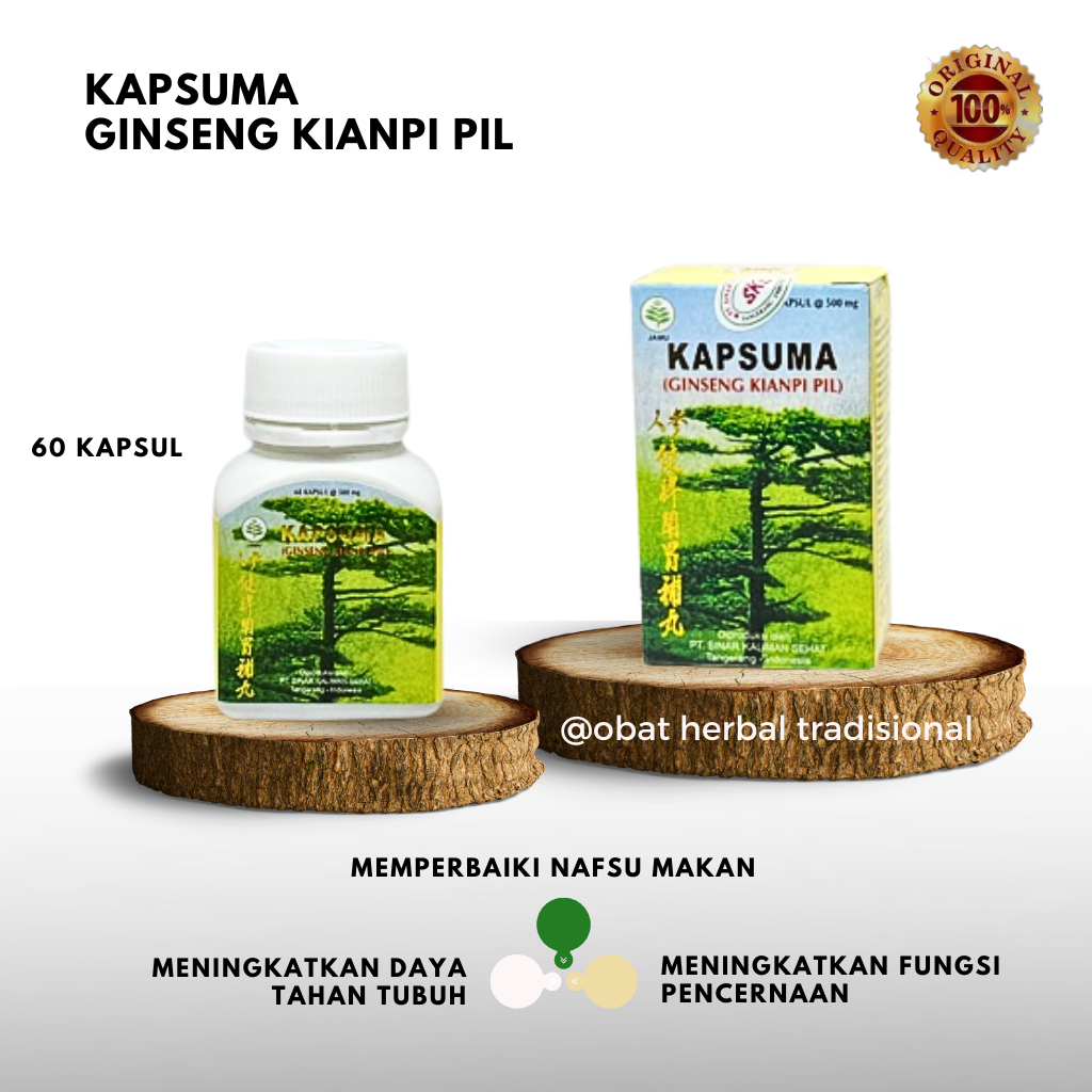 GINSENG KIANPI PIL - KAPSUMA obat penggemuk badan - penambah nafsu makan