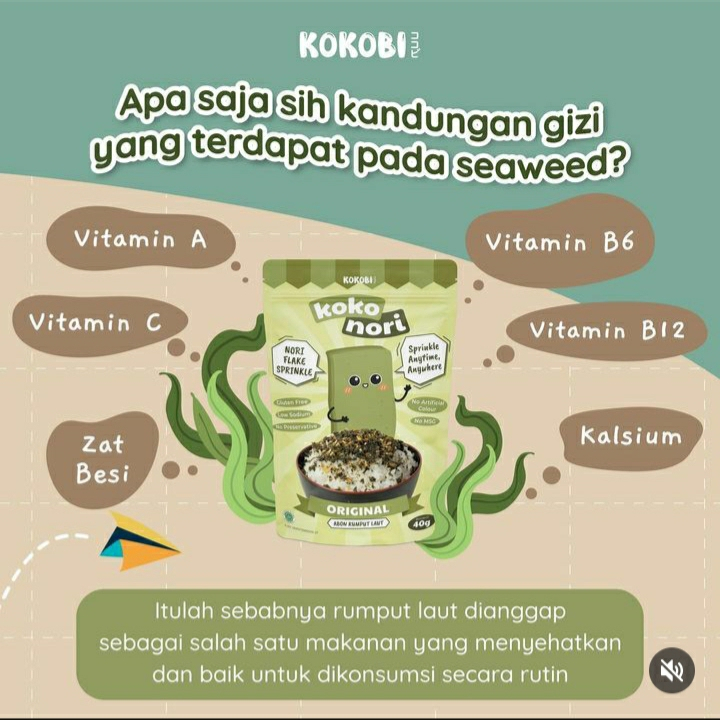 ABE FOOD KOKOBI KOKO NORI ABON RUMPUT LAUT 40GR | NORI TABUR NON MSG