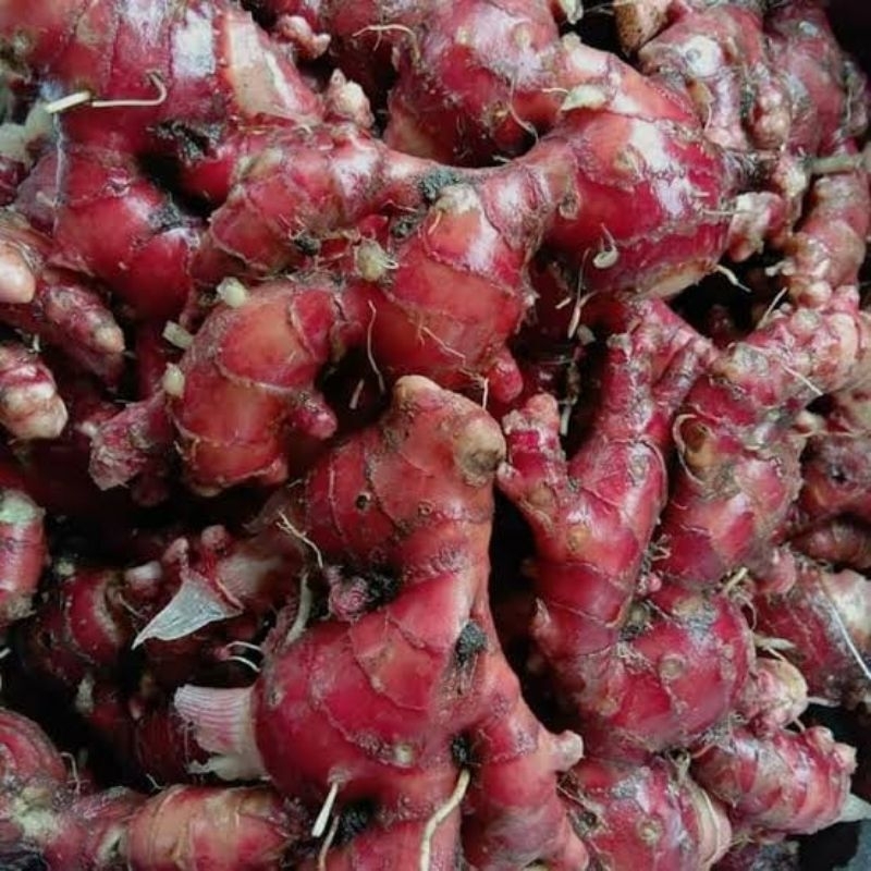 

Jahe Merah 500gr