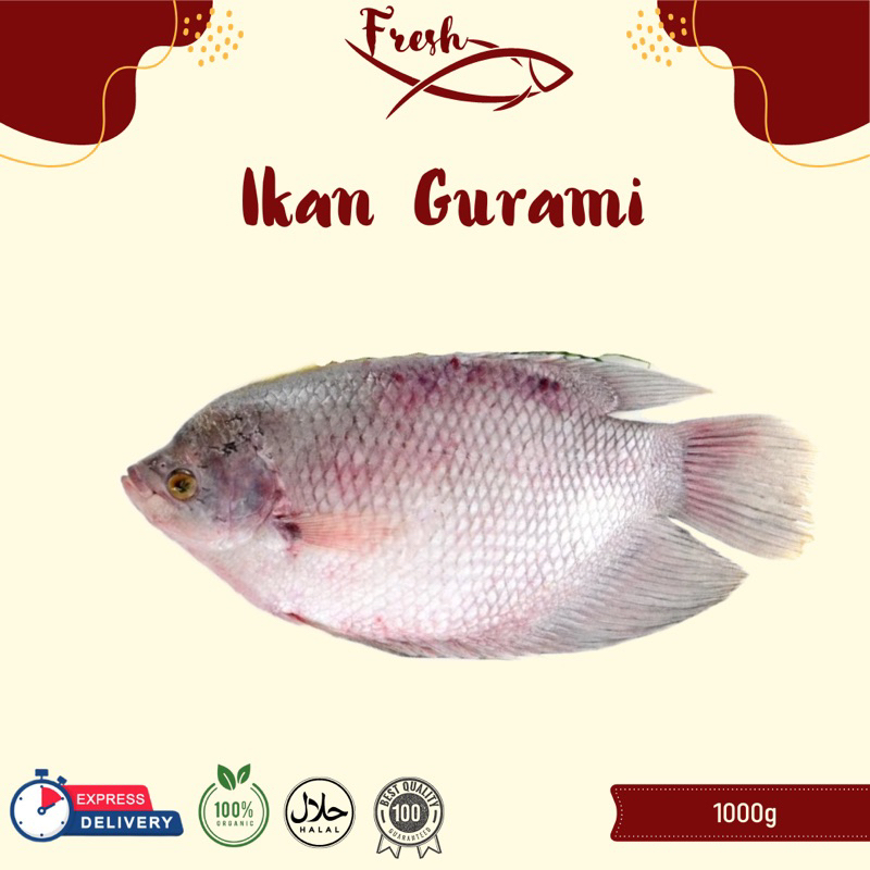 

IKAN GURAMI FRESH 1kg