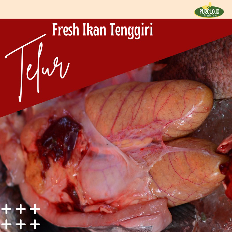 

telur ikan tenggiri / tulang / kulit / daging merah / kepala gabus fresh bandung instant sameday