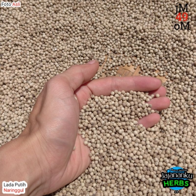 

1Kg Lada Putih Biji Utuh Putih Alami Pedes Lada Premium