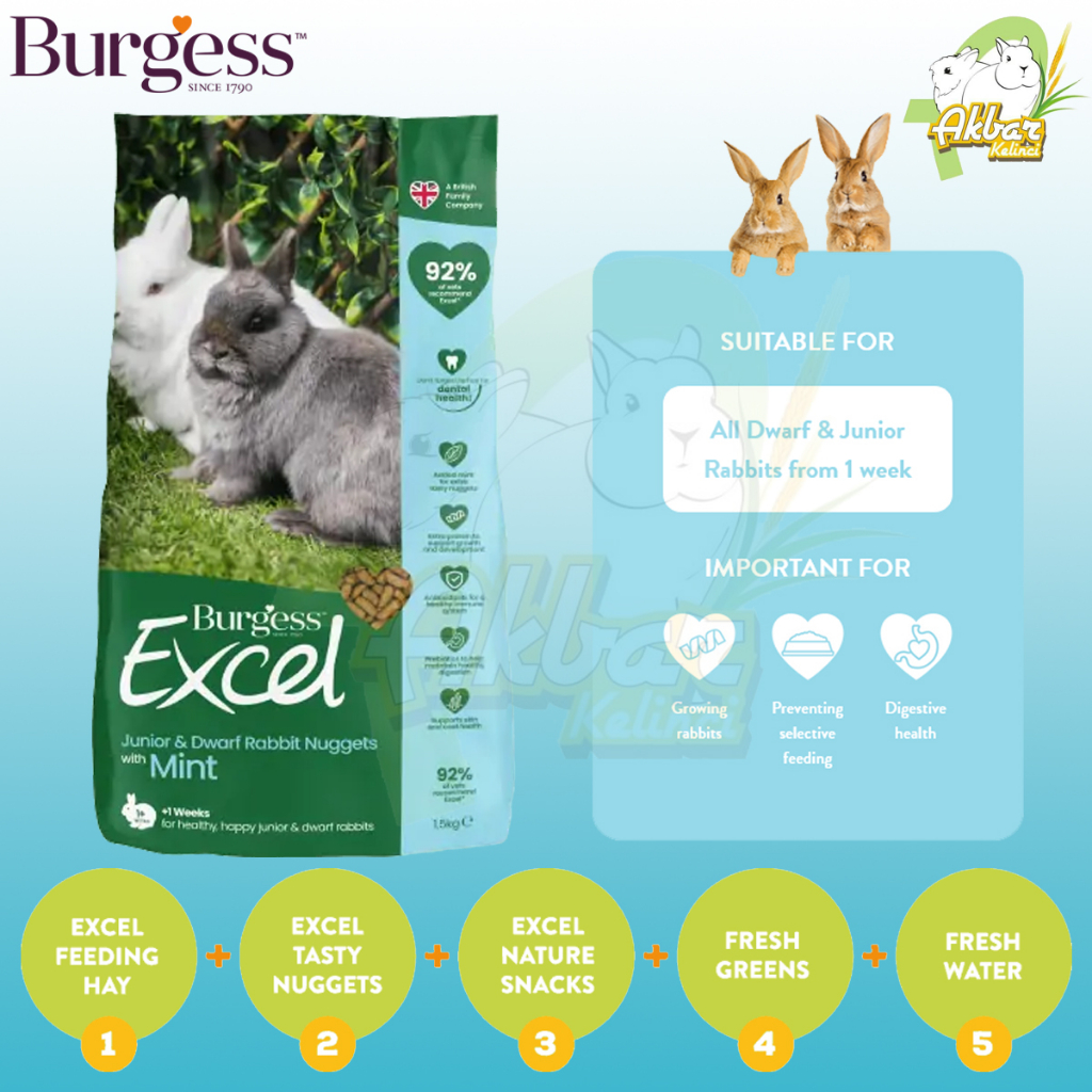 Burgess Junior & Dwarf Mint 1,5 kg - Makanan Kelinci Burgess Junior 1,5 kg - Makanan Anak Kelinci - 
