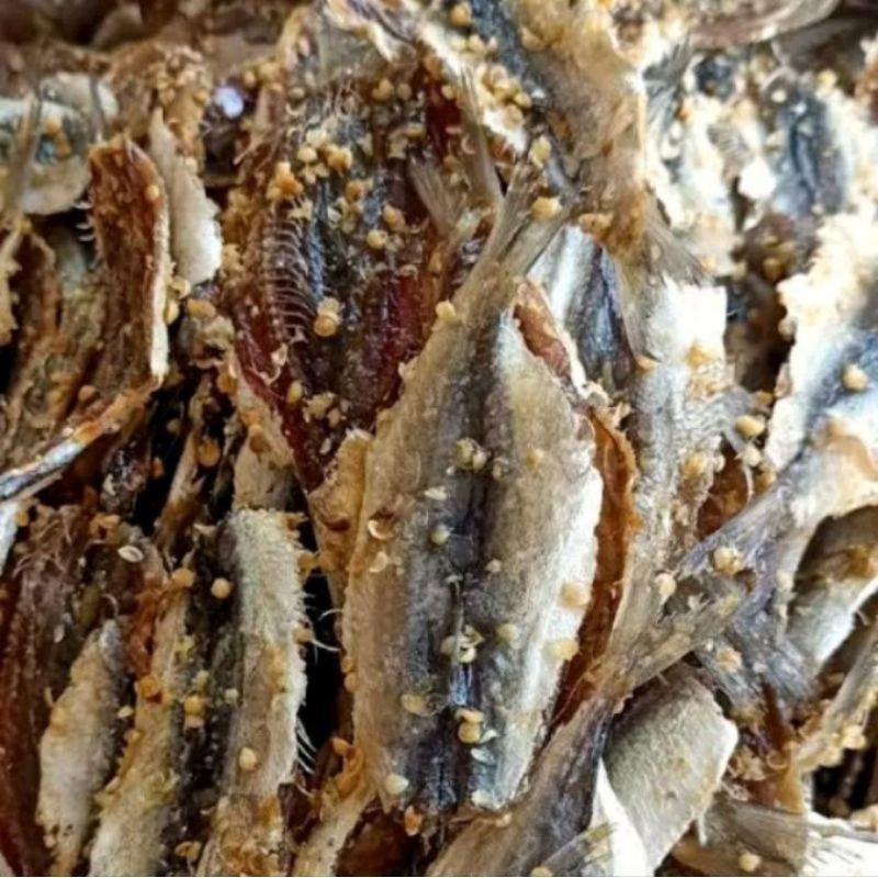 

Dendeng ikan manis fresh 100gr