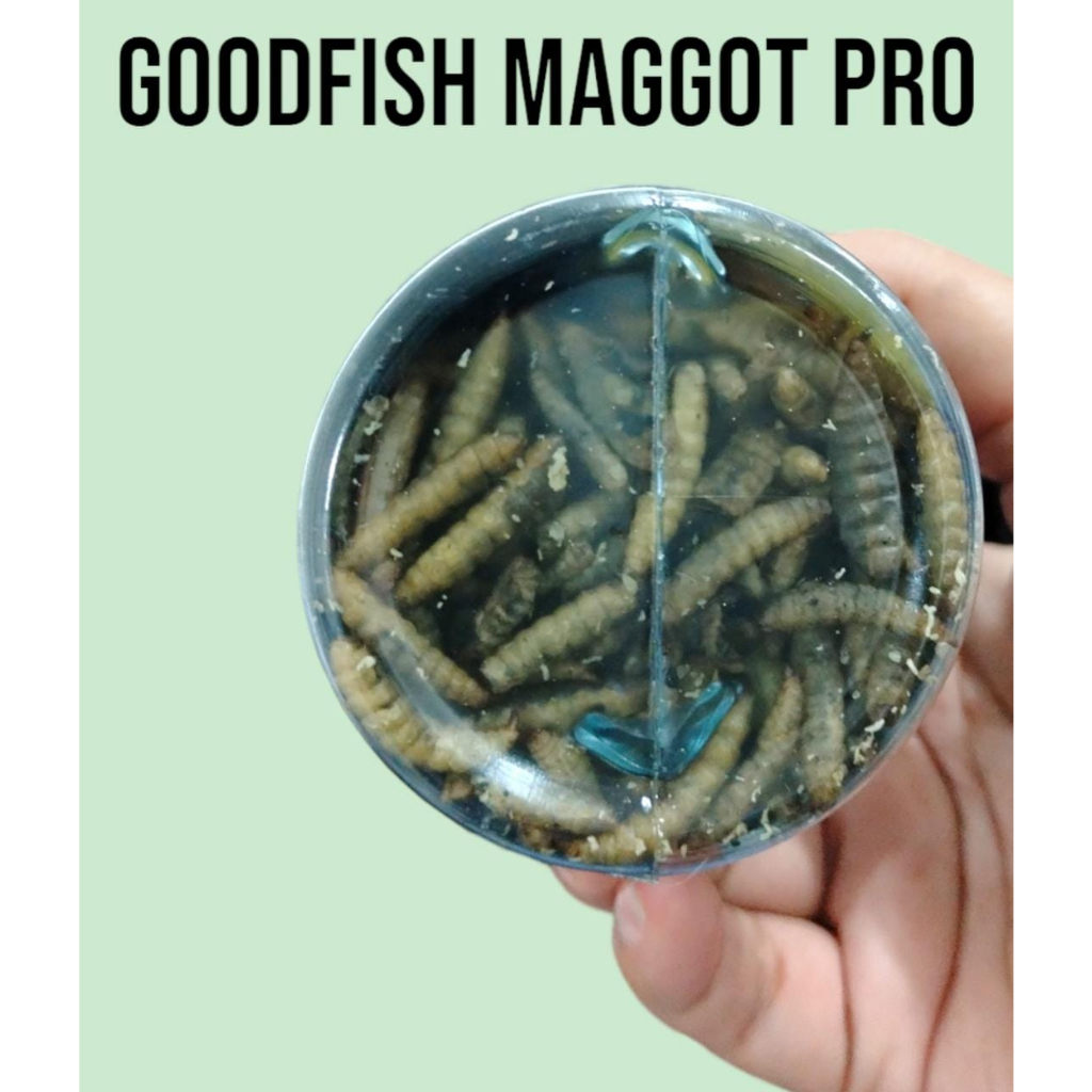 GOODFISH MAGGOT PRO 40 gram PAKAN IKAN PREDATOR chana ikan lohan ikan arwana