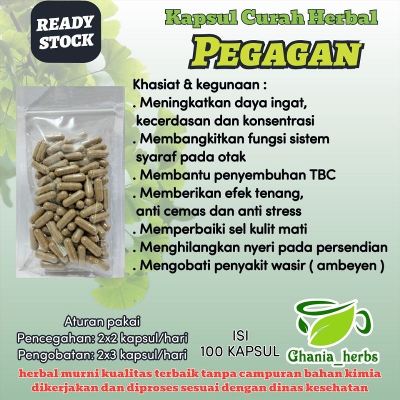 Kapsul Herbal PEGAGAN isi 100 Kapsul