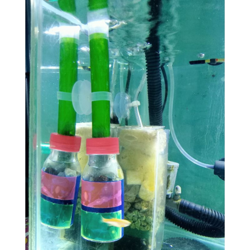 SKIMMER FILTER DAN AIR LIFT FILTER MEDIA PENJERNIH AIR AQUARIUM DENGAN BATU ALAMI