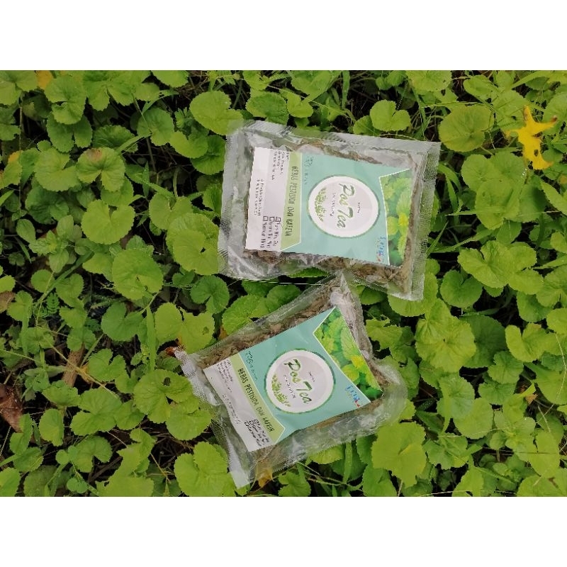 

Teh Mint, Daun Mint Kering