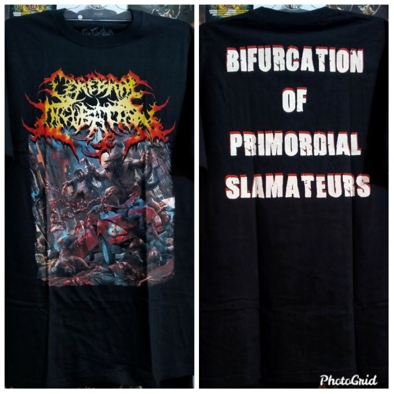 Ts cerebral incubation - slamateurs