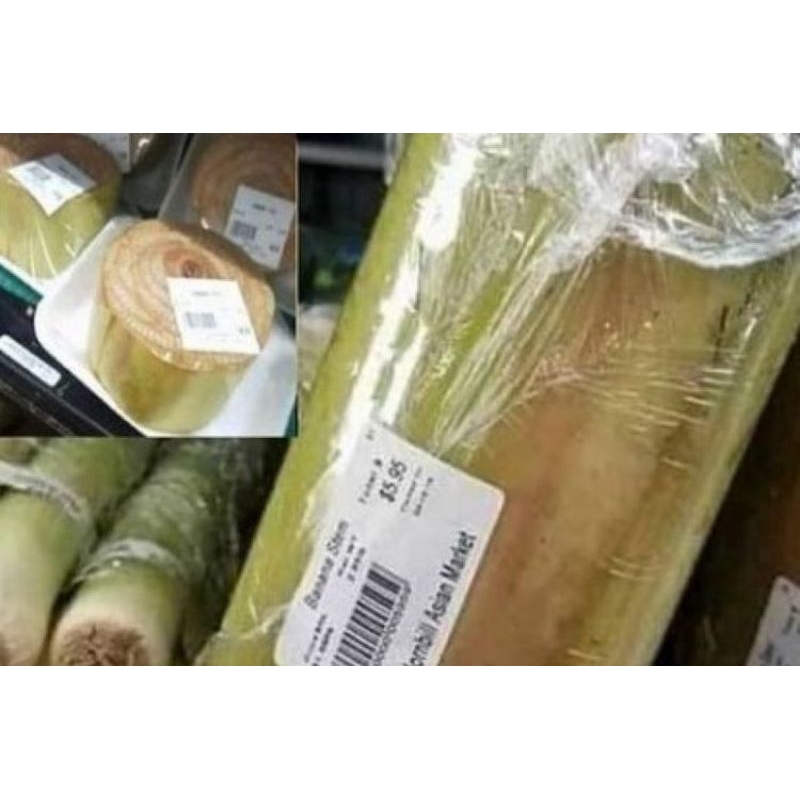 

Gedebog Pisang/Pelepah Pisang Segar