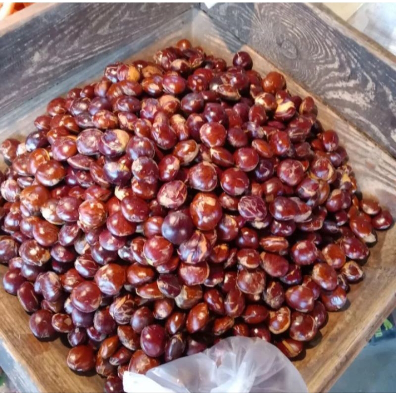 

Jengkol Super