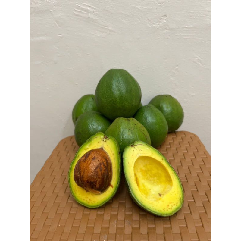 

Buah Alpukat