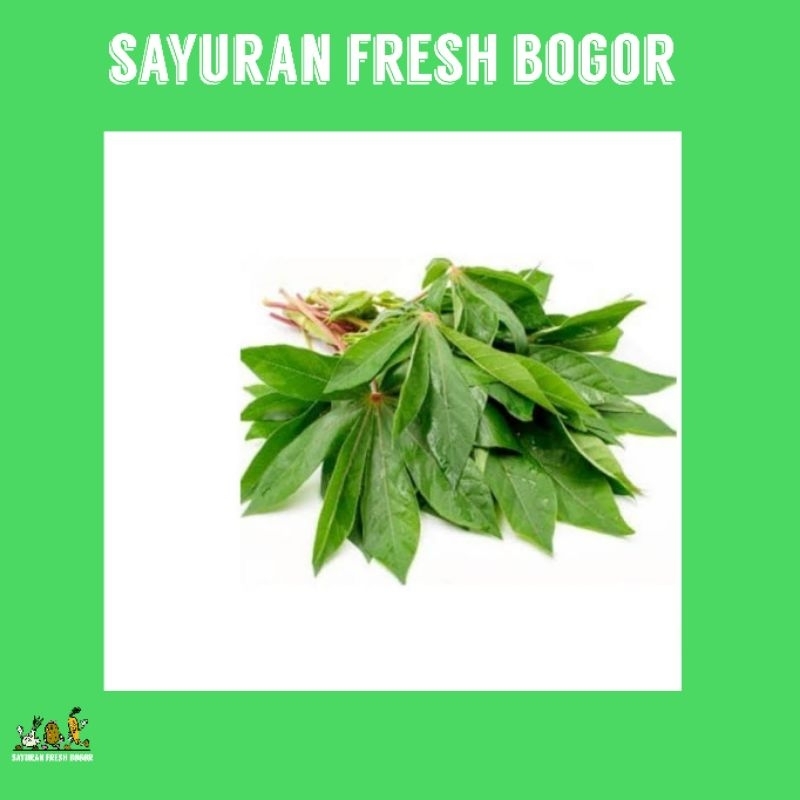 

Daun Singkong Segar Per Ikat | Sayuran Fresh Bogor