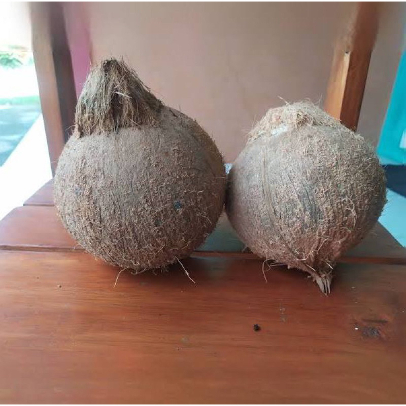 

kelapa bumbu santan