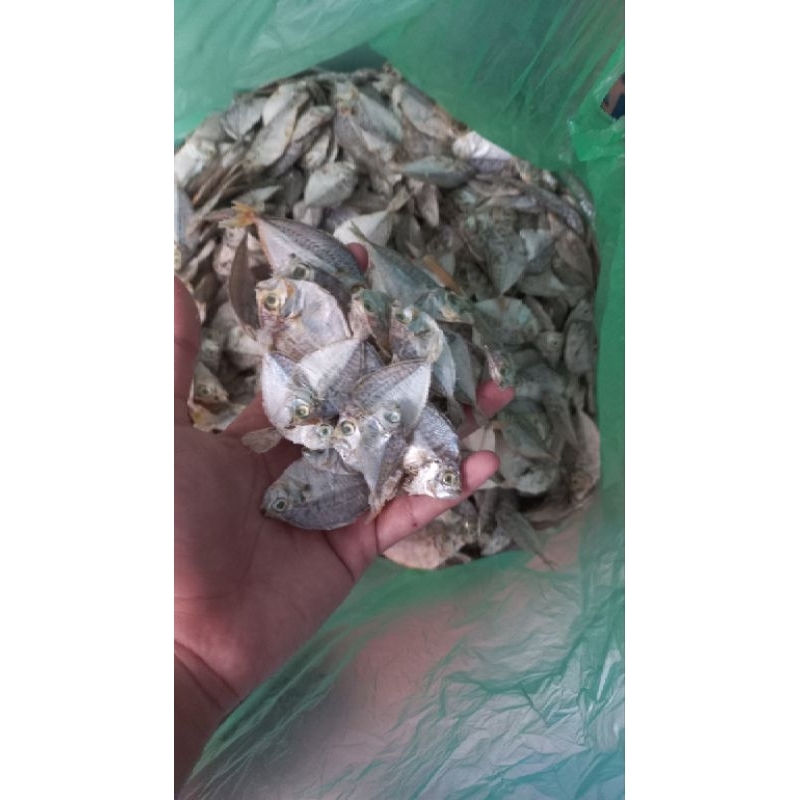 

ikan kering kempar doddok