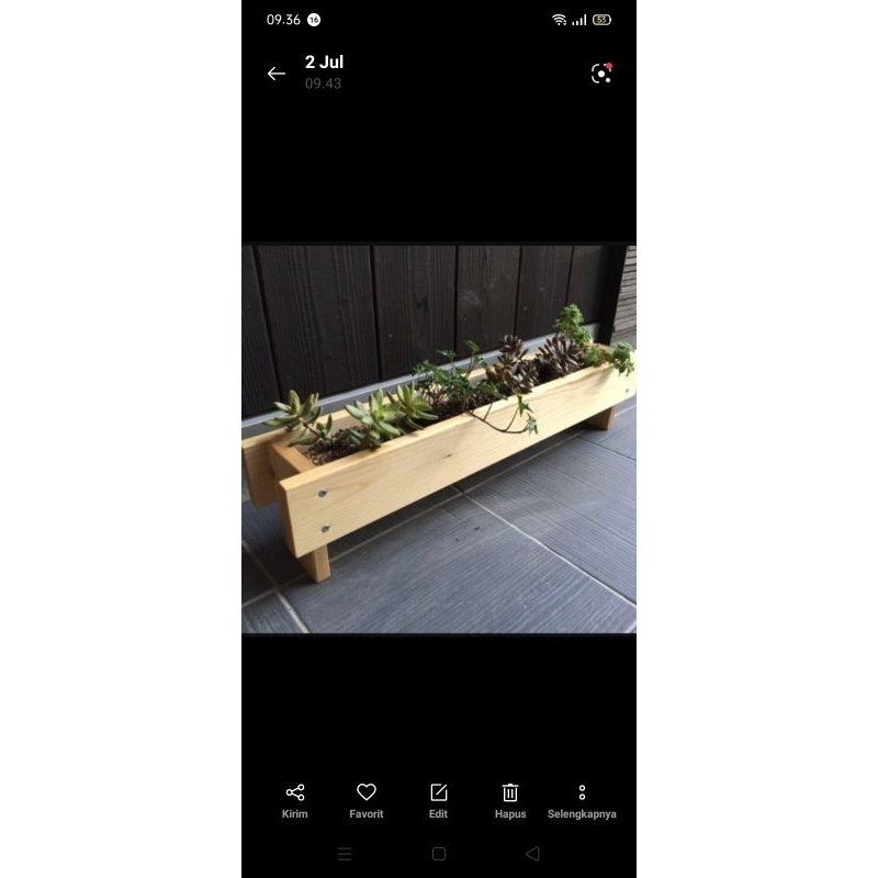 POT TANAMAN PANJANG KAYU JATI BELANDA