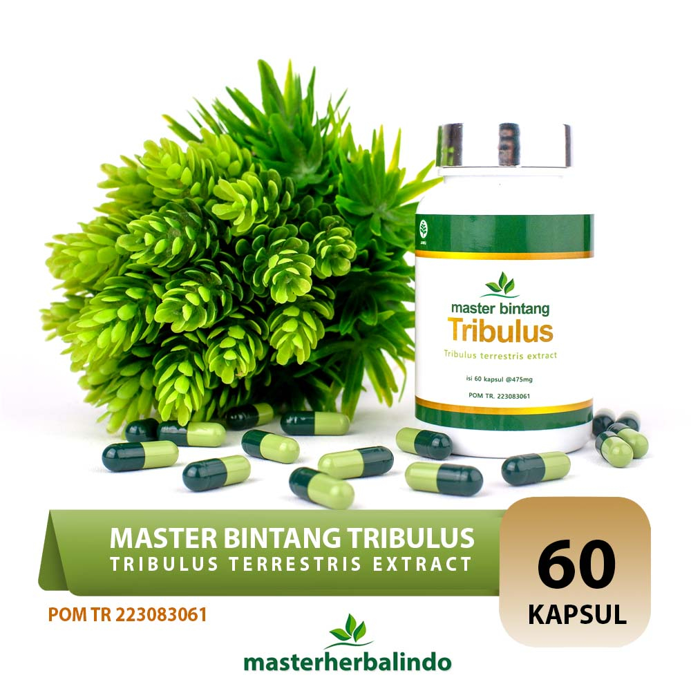 Kapsul Herbal Extract Master Bintang Tribulus Terrestris Stamina Hipertensi Otot Hormon Testosteron 