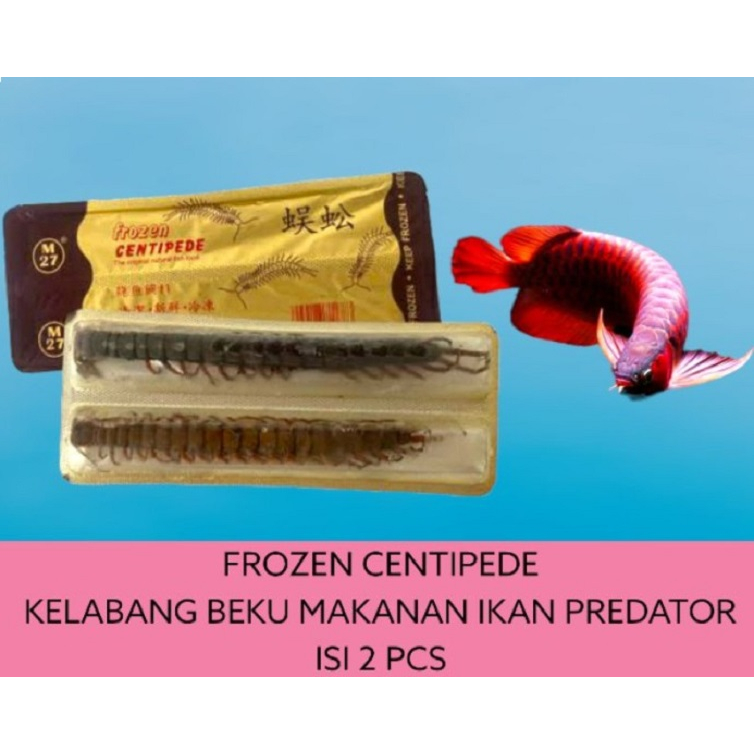 Makanan ikan arwana kelabang beku pakan ikan predator isi 2 khusus gojek