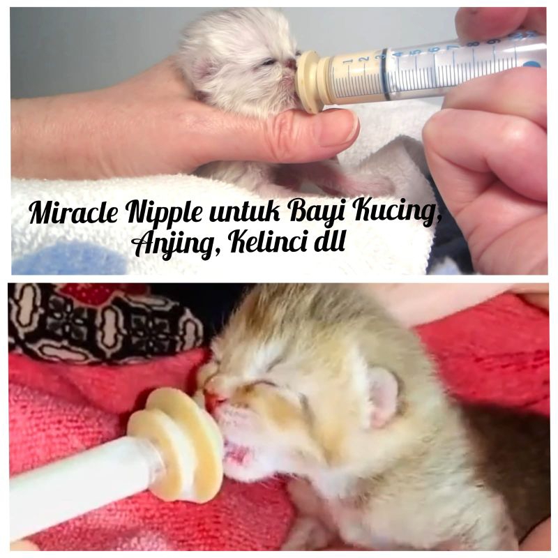 Nipple Kucing Miracle Nipple Bayi Kucing Anak Kucing Dot Bayi Anjing Susu Bayi Kucing Baru Lahir