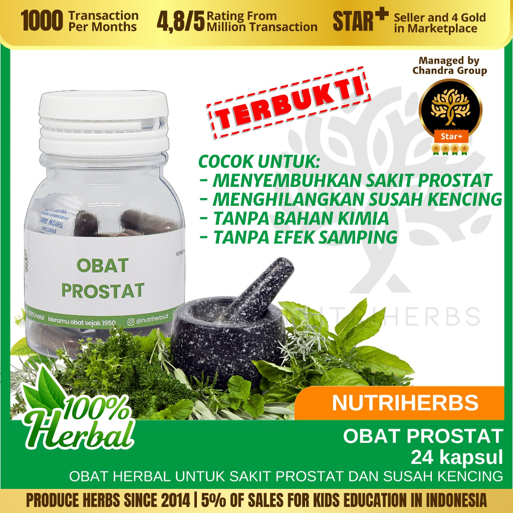 Obat Kapsul Sakit Prostat Kelenjar Testis Susah Kencing Nutriherbs Mariza Herbal Tradisional Vitamin