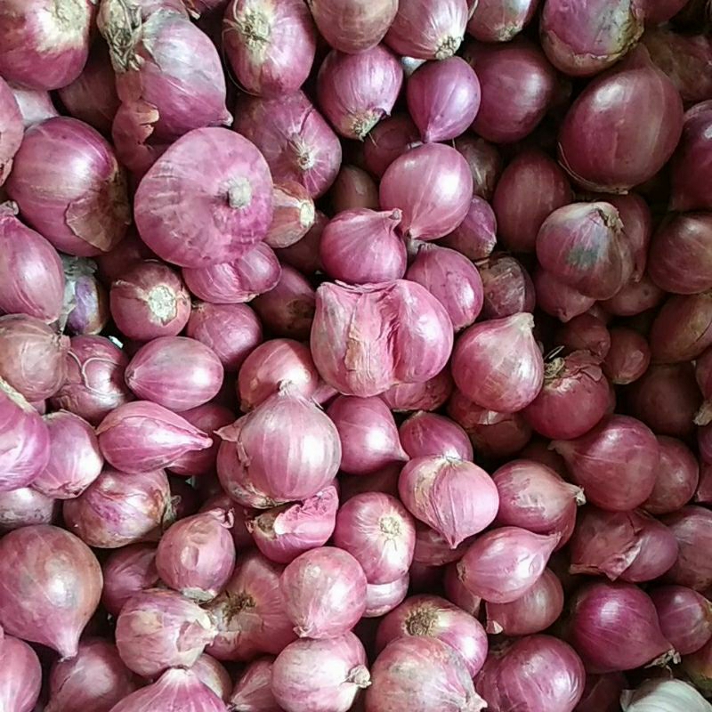 

bawang merah