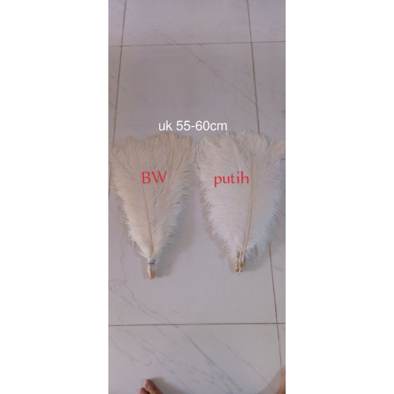 BULU OSTRICH PANJANG 55-60 CM BULU DEKORASI BULU HIASAN