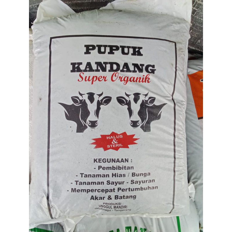 Pupuk Kandang Sapi