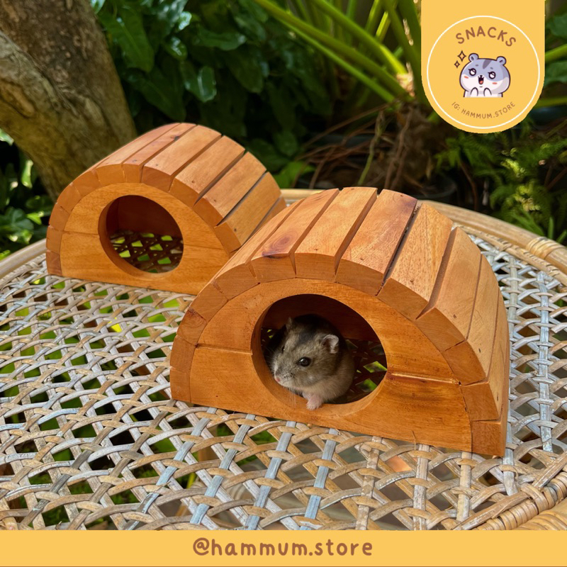 Silvisedut Rumah Hamster Syrian Hobbit Style Syrian Hamster House Hideout Hamster Peran Kandang