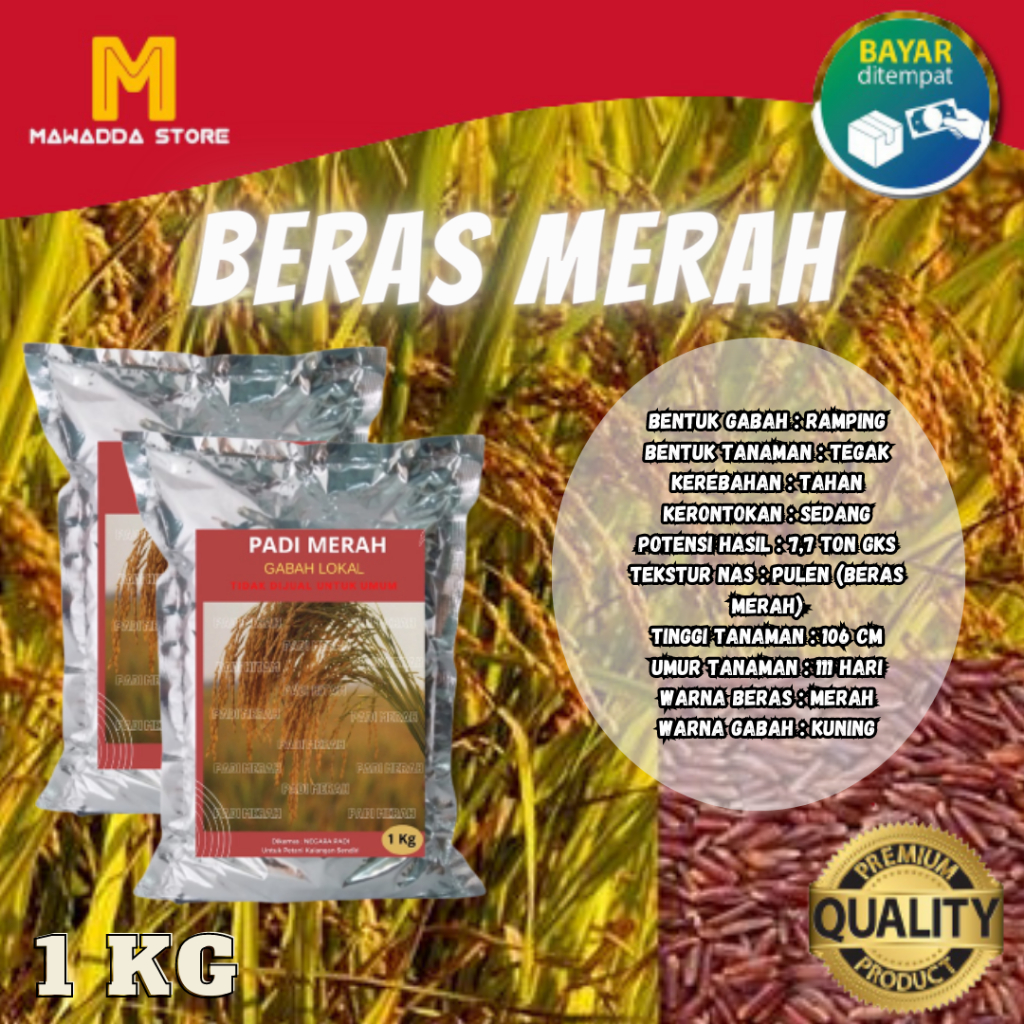 Biji Unggul Beras Beras Merah Biji Padi 1KG