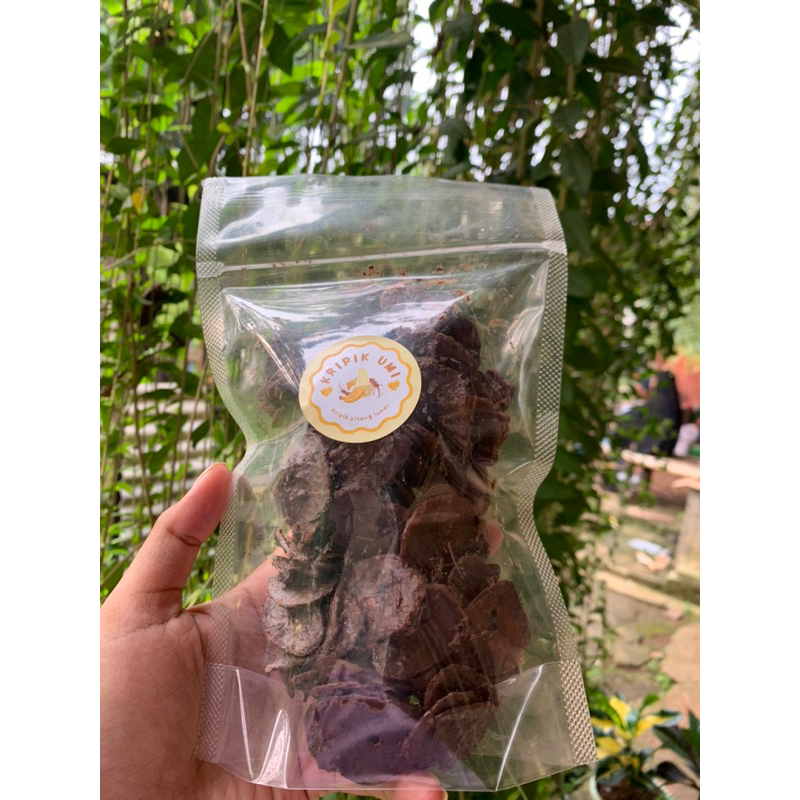 

KRIPIK PISANG LUMER UMI | VARIAN RASA!!