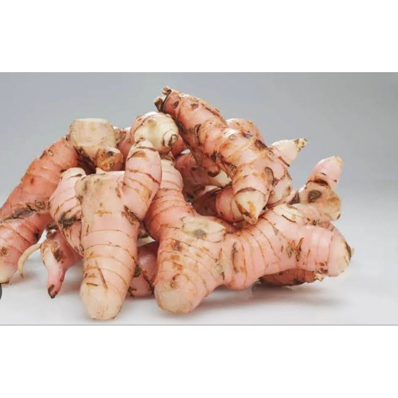 

Lengkuas asli organik bumbu laos berat 1kg bumbu masakan daging