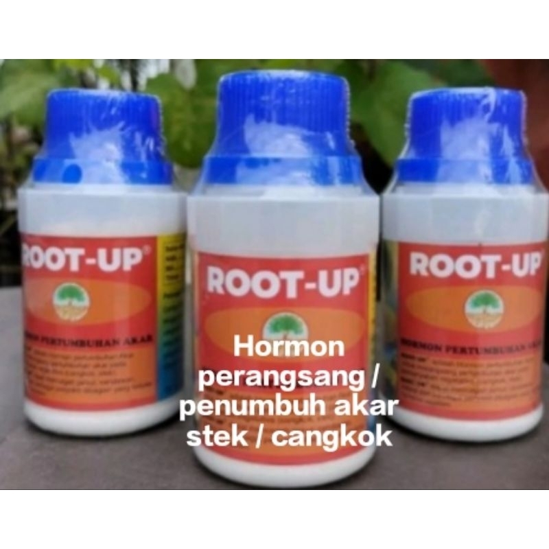 ROOT UP Hormon PENUMBUH AKAR stek/ cangkok