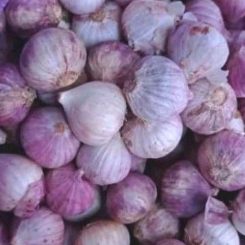 

BAWANGPUTIHTUNGGALSORTIRBERSIHUKURANSEDANG1kg