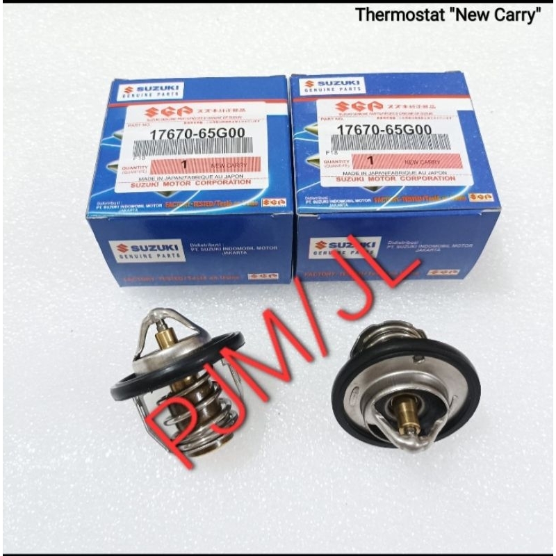 THERMOSTAT NEW CARRY SGP