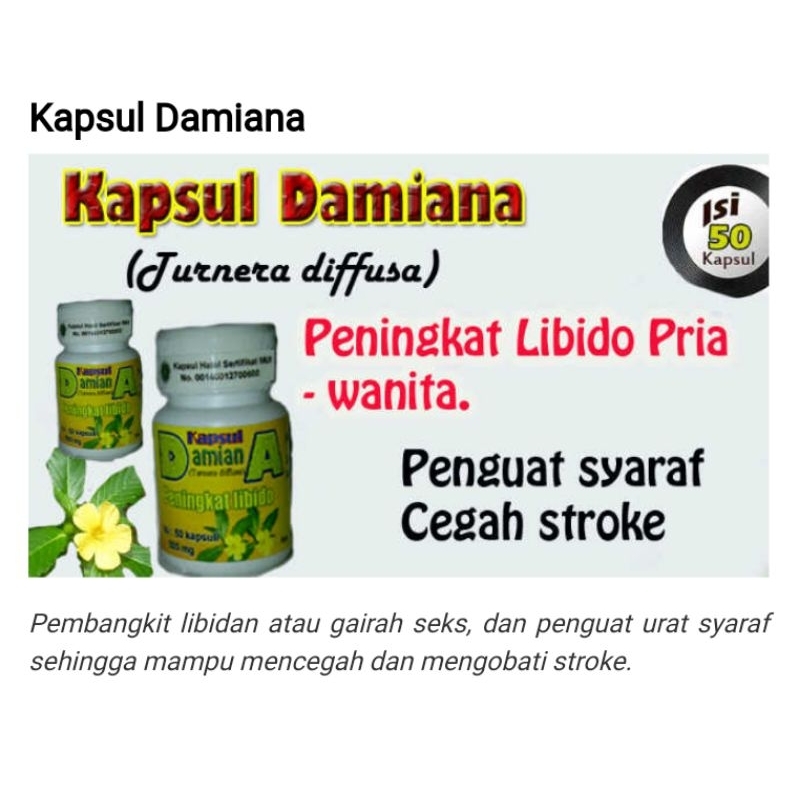 Kapsul damiana isi 50 kapsul