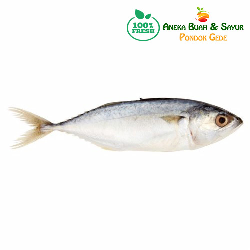

Ikan Kembung Segar 1kg
