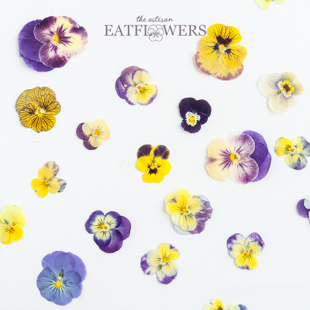 

Pressed Edible Flowers - The Artisan Eatflowers EF11