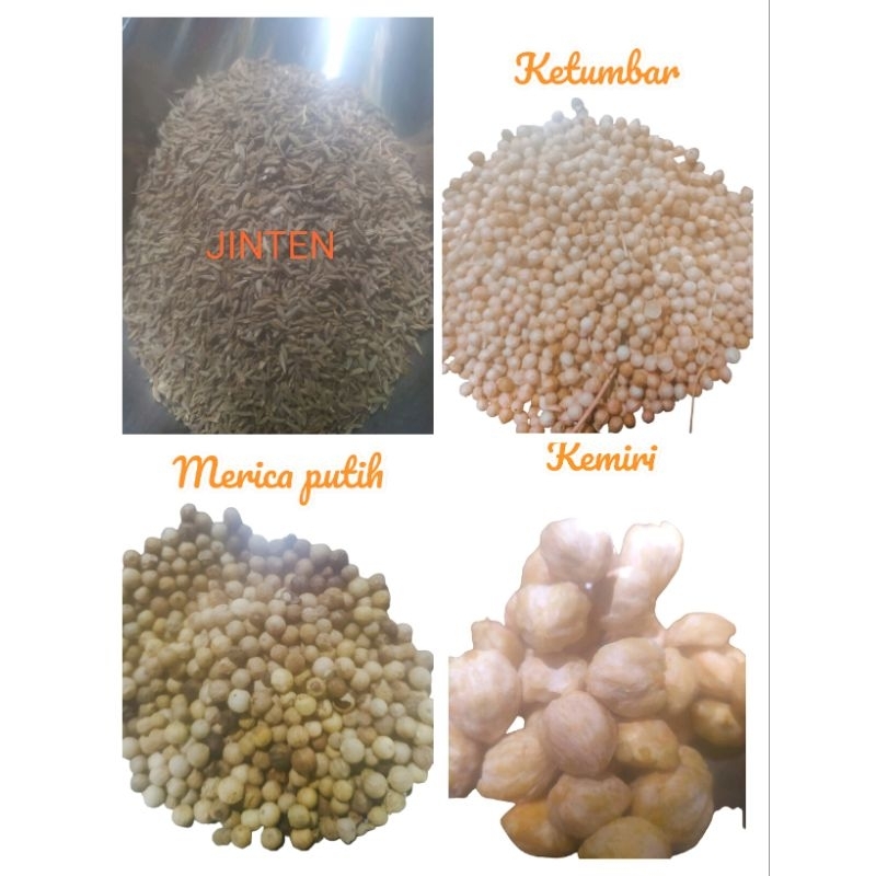 

Aneka Bumbu Masak Kemiri Merica Jinten Ketumbar Kemasan 50 gram