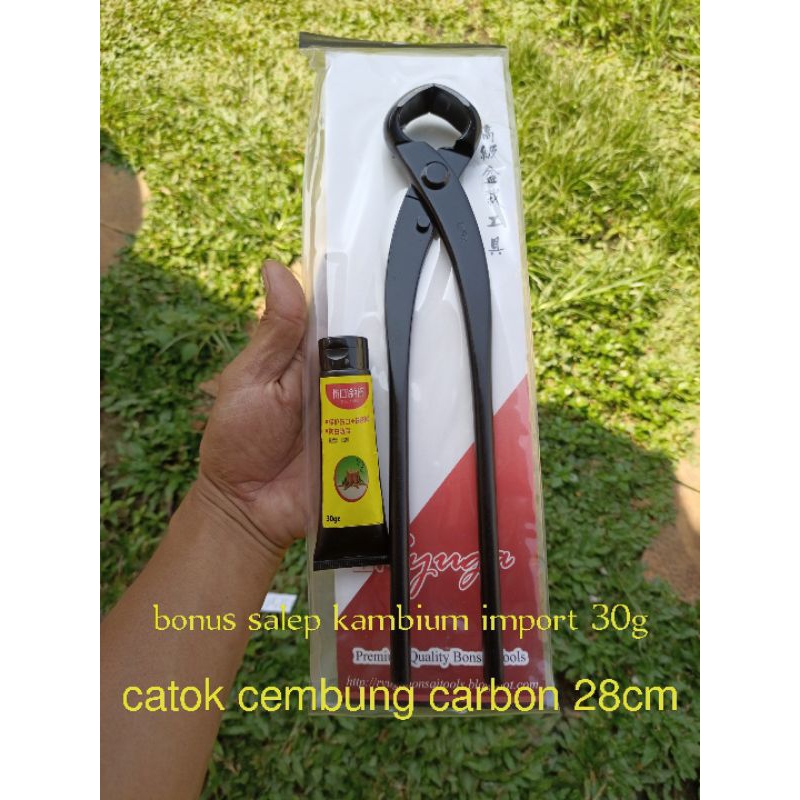 CATOK CEMBUNG RYUGA ORIGINAL CARBON 28cm RC 18