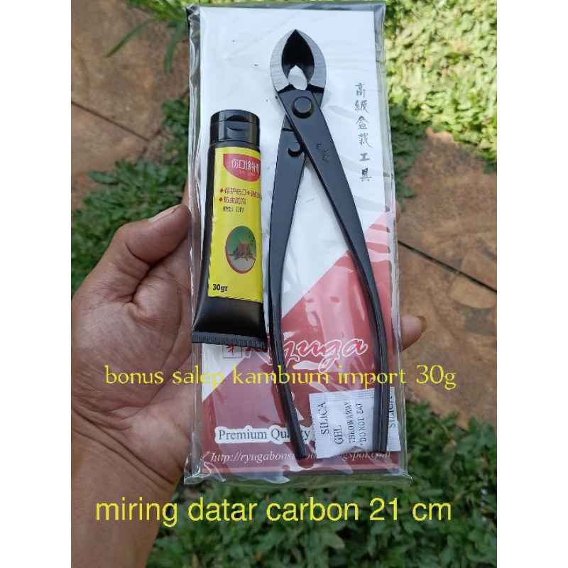 CATOK BONSAI MIRING CARBON RYUGA 21cm