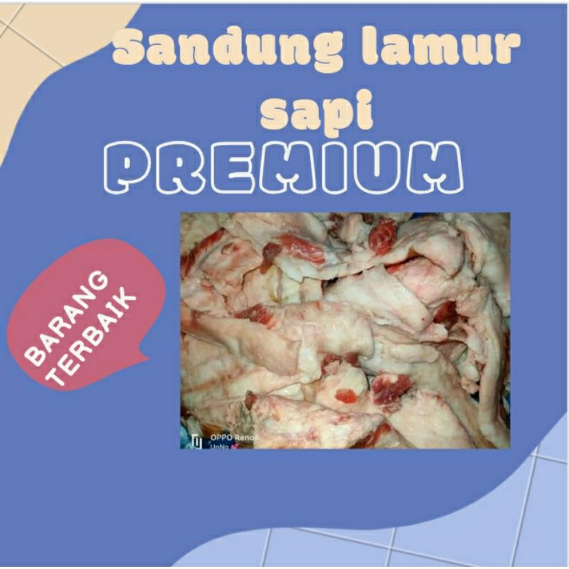 

sandung lamur sapi lokal