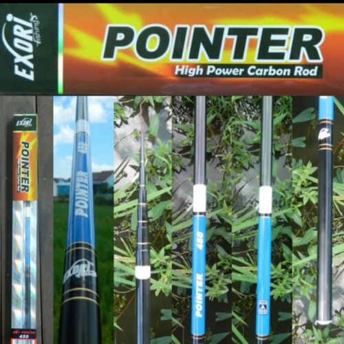 Joran Tegek Hight Carbon Road - Exori Pointer 450